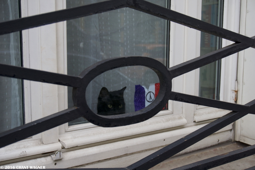 Le_chat_noir_peace_for_paris.jpg