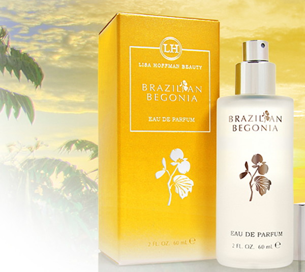 Lisa_Hoffman_Brazilian_Begonia.jpg