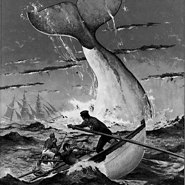 Moby_Dick.jpg