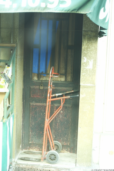 Nature_Morte_Behind_a_Bus_Window.jpg