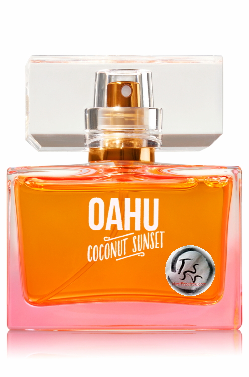 Oahu_coconut_sunset_bbw.jpg