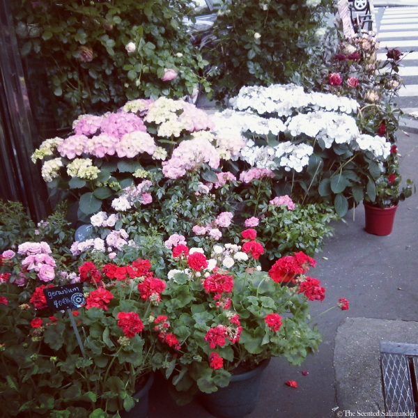 Paris_Sidewalk_Covered_with_Flowers.jpg