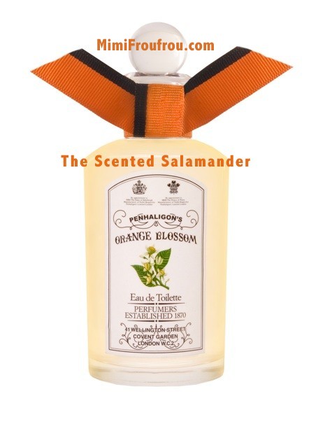 Penhaligons-Orange-C.jpg