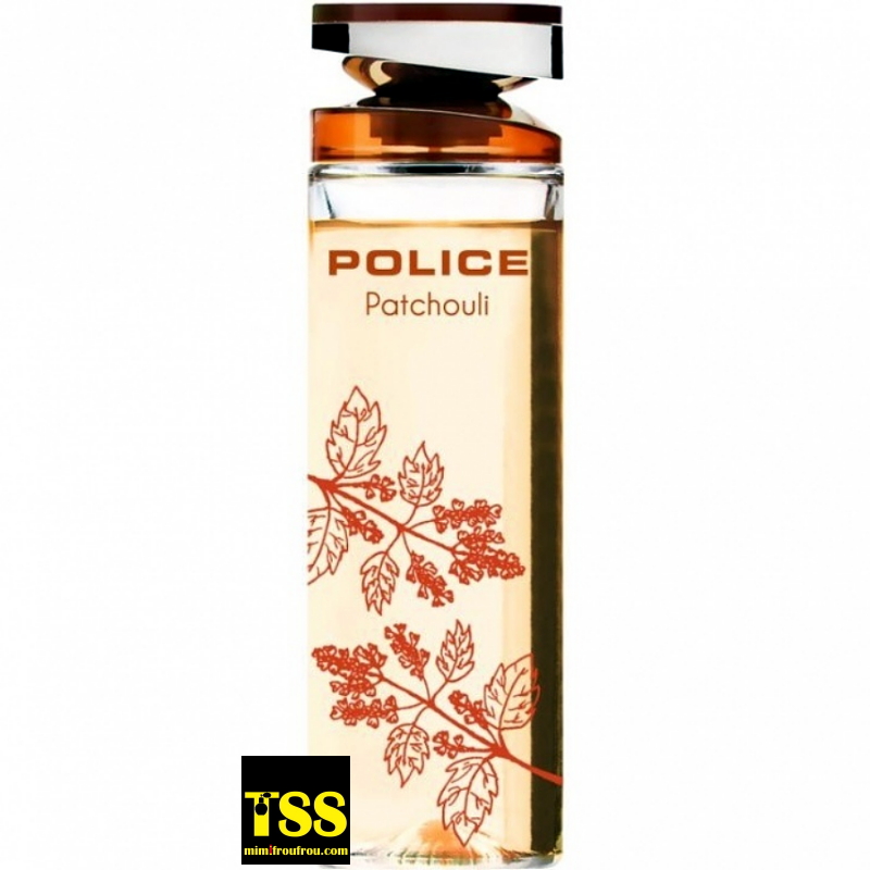 Police_Patchouli.jpg
