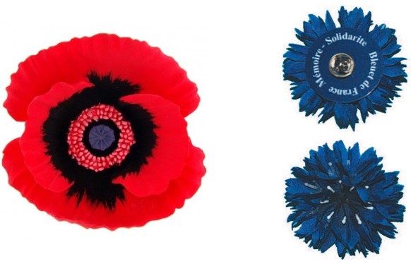 Poppy_Blue_Cornflower.jpg