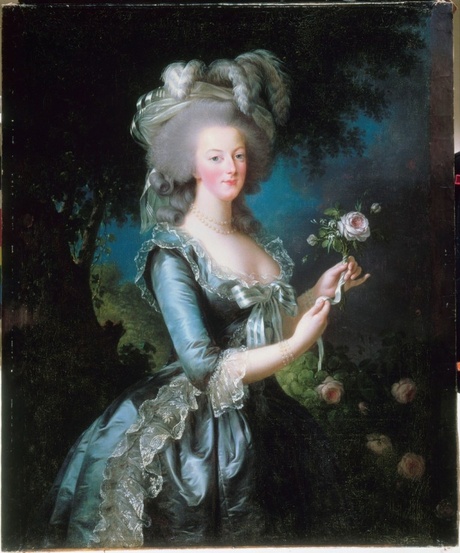 Portrait_rose_Vigée Lebrun.jpg