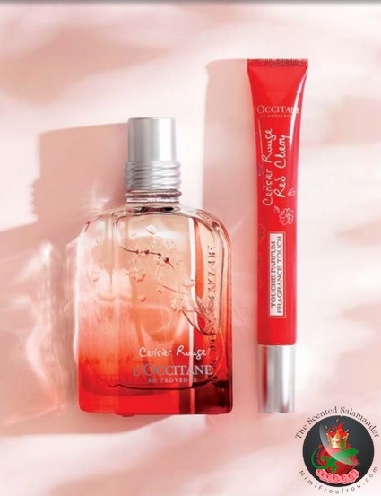 Red_Cherry_Cerisier_Rouge_Occitane.jpg