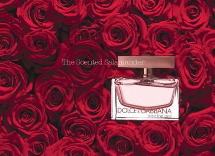 Rose-The-One-Dolce-Gabbana-B.jpg