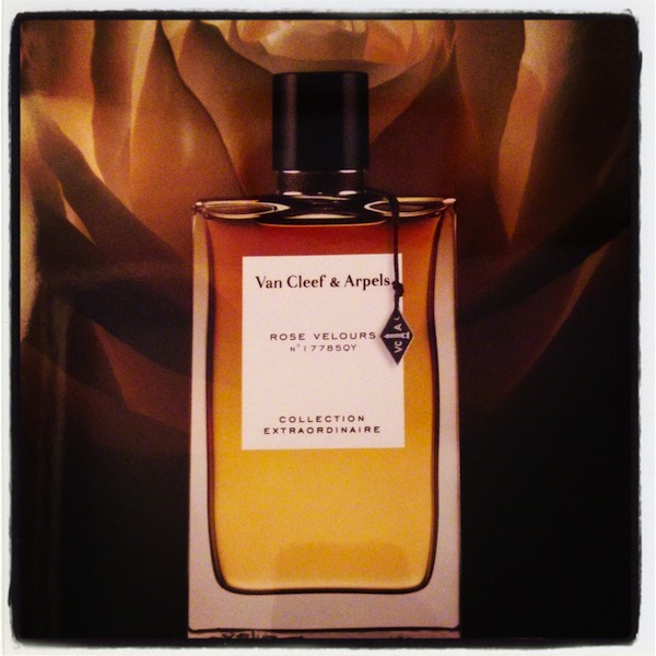 Van Cleef \u0026 Arpels Rose Velours (2013): 12 Hours in the Life of a Rose {New  Perfume} - The Scented Salamander: Perfume \u0026 Beauty Blog \u0026 Webzine