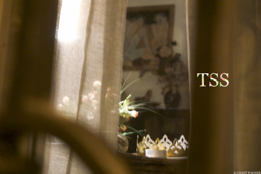 Roses_Gold_Crown_By_The_Window_Paris_Feb.jpg