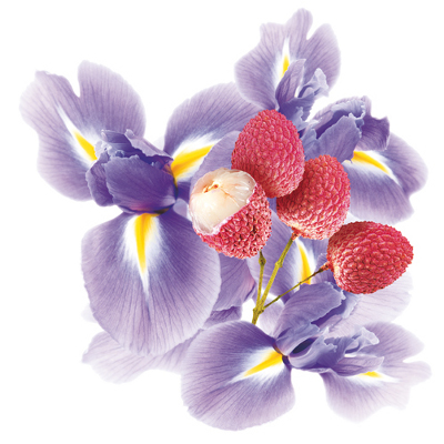 Soin-eve_2012_Iris-litchi_Visuel.jpg