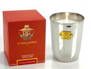 Tomate Aristocrate.jpeg