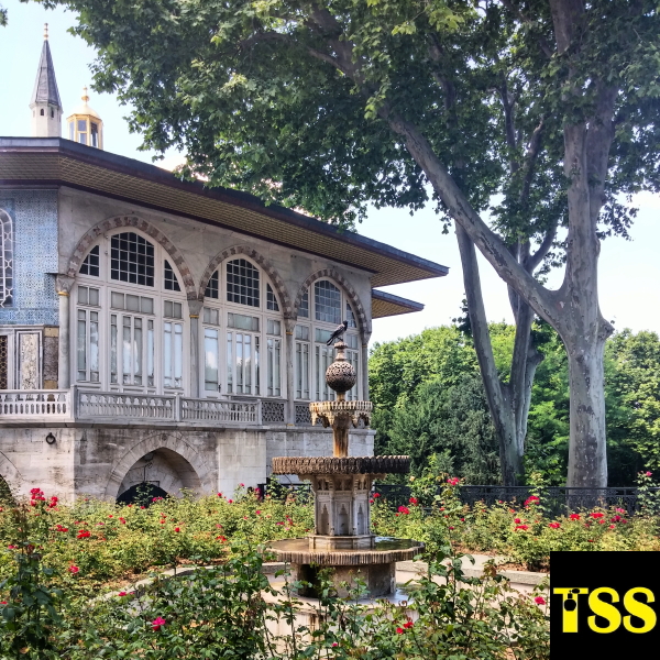 Topkapi_roses_Isparta.jpg