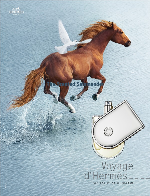 Voyage-Hermes-advert.jpg