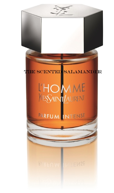 YSL_L_Homme_Intense.jpg
