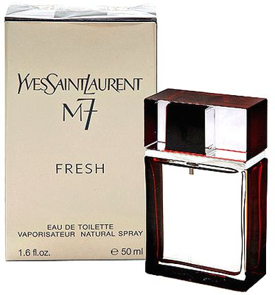 Yves-Saint-Laurent-M7-FRESH.JPG