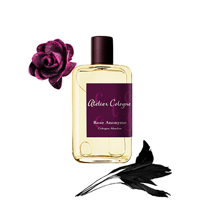 ambiance_rose_anonyme.jpg