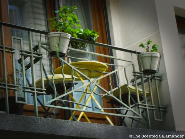 balcon_Paris_G&eacute;raniums_jaune_vert - blog.jpg