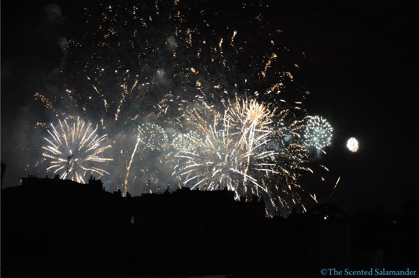 bastille-day-2010-roofs-D.JPG
