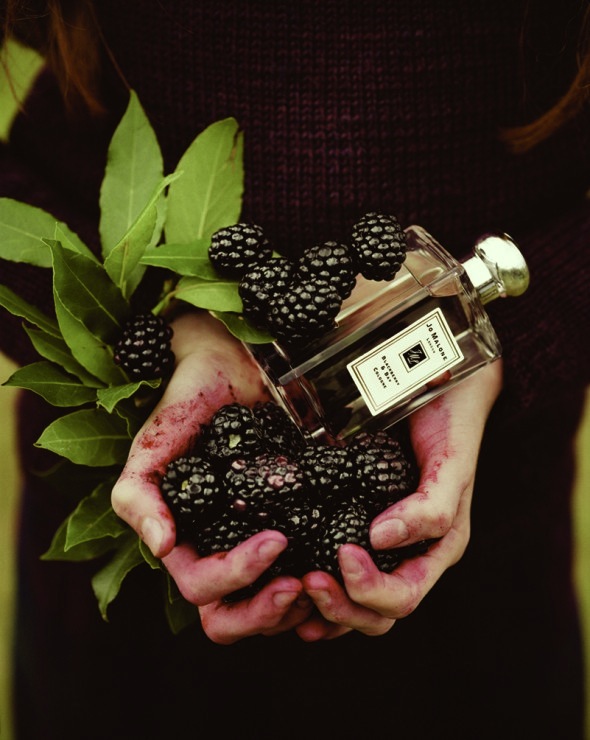 Jo Malone Blackberry & Bay (2012) Natural, Foresty Musk {Perfume