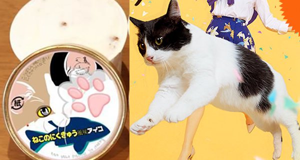cat-paw-ice-cream.jpg