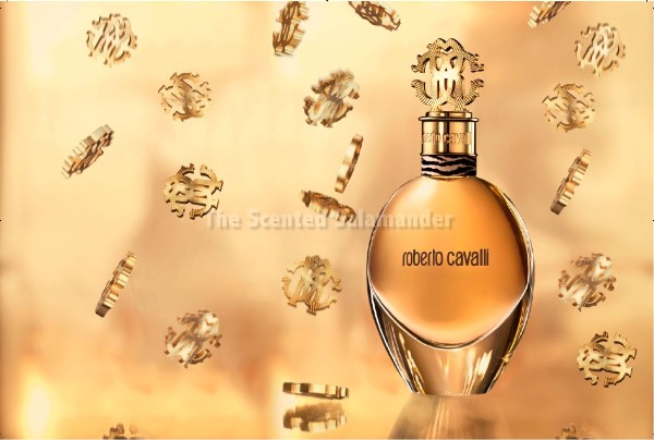 cavalli_edp_visual_logo_2.jpg