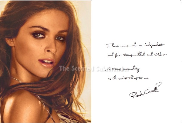 cavalli_sednaoui_quote_2.jpg