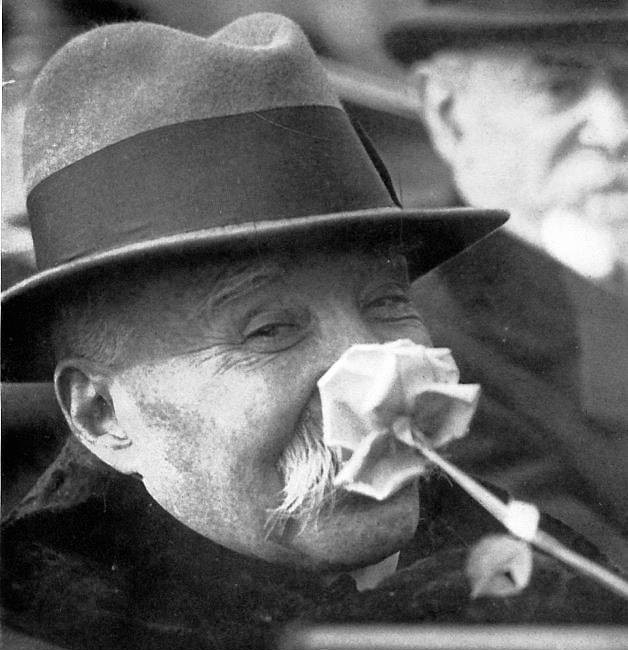 clemenceau_rose.jpg