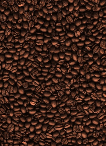 dreamstime_3377521-Coffee-Beans.jpg