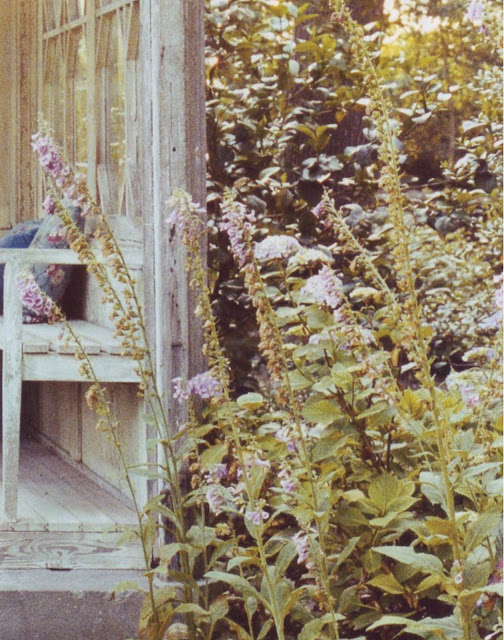 dries_van_noten_garden_lier.jpg
