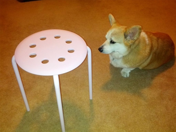 eastwooding-1.jpeg