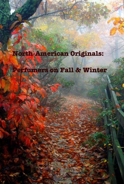 fall-walk-damomz-North_American_Originals.jpg