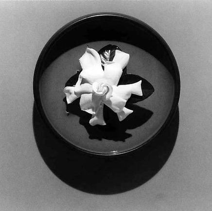 gardenia-mapplethorpe-1978.jpg