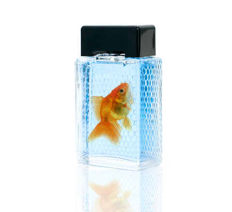 goldfish-perfume-bottle.jpg