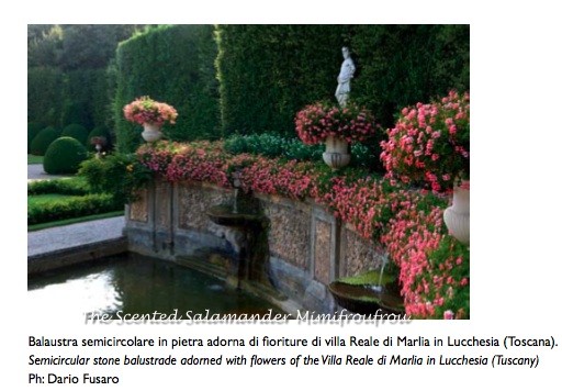 il_Giardino_Nobile_pic_ok.jpg
