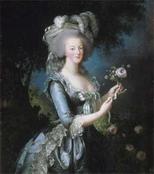 marie-antoinette_rose.jpg