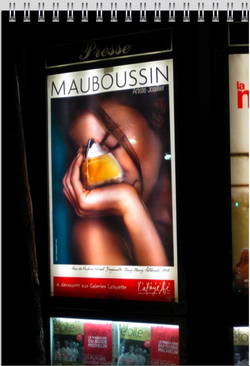 mauboussin-ad-jan-2010-B.jpg