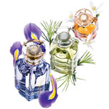 notreflore l'occitane.jpg