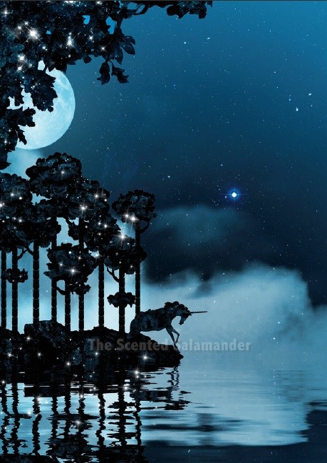 nuit_etoilee_visual_ad_2.jpg