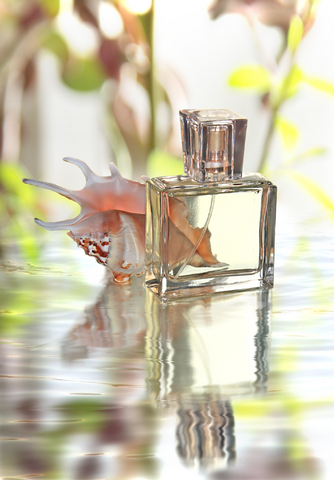 perfumery-visual.jpg