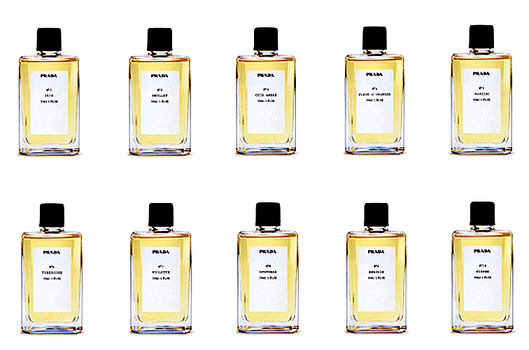 prada_exclusive_scents2.jpg