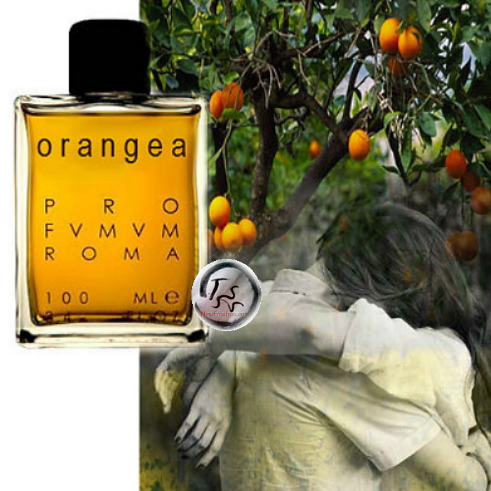 profumum_orangea_tss.jpg