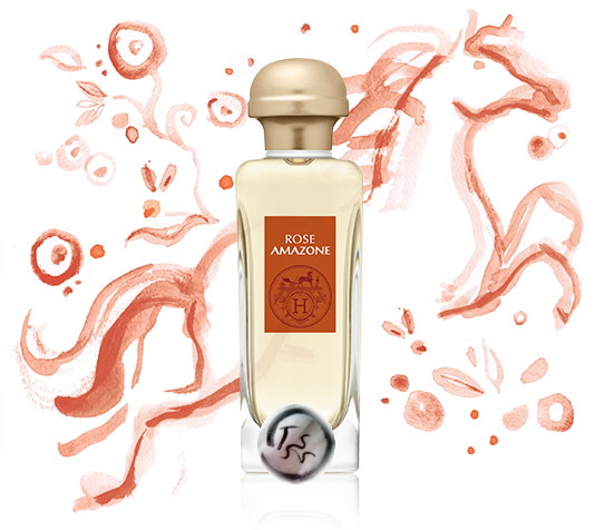 rose_amazone_visuel.jpg