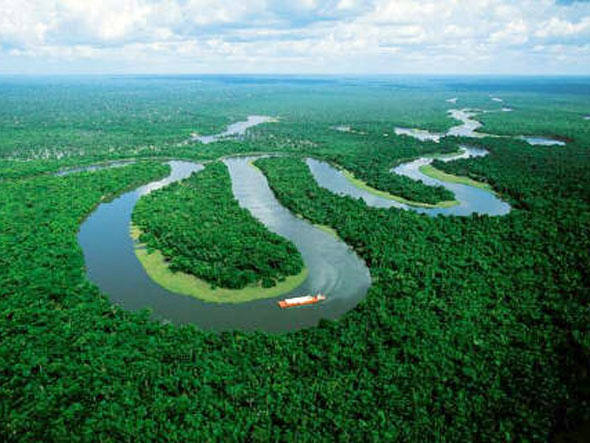 size_590_amazonas.jpg