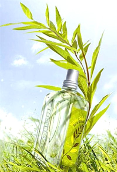 verbena_sun_soleil_occitane.jpg
