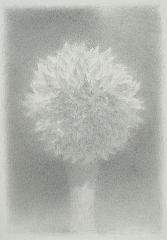 white_dahlia_fred_dalkey.jpg